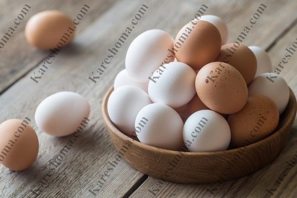 فروش عمده تخم مرغ در اهواز